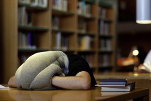 ostrich-pillow